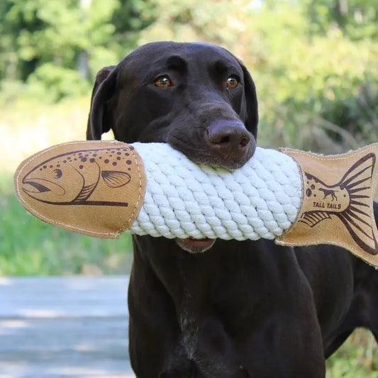 Natural Leather Trout Rope Tug Dog Toy