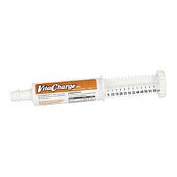 Vita Charge Gel Tube 60ml